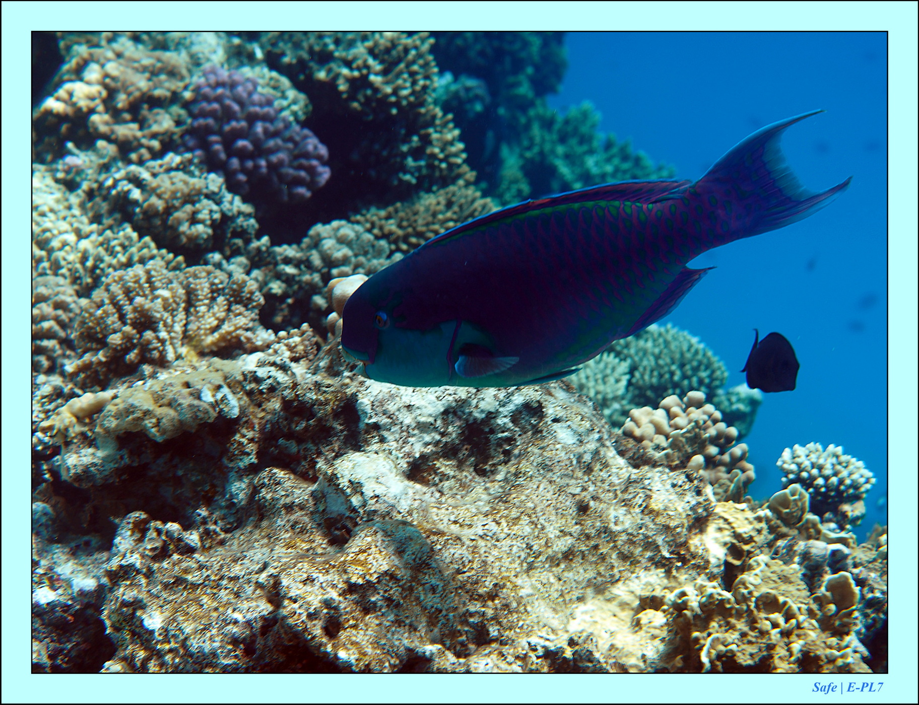 2023 - 03 - Charm El Sheikh - 32